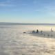 Image for article titled Stunning photos of London shrouded in fog
